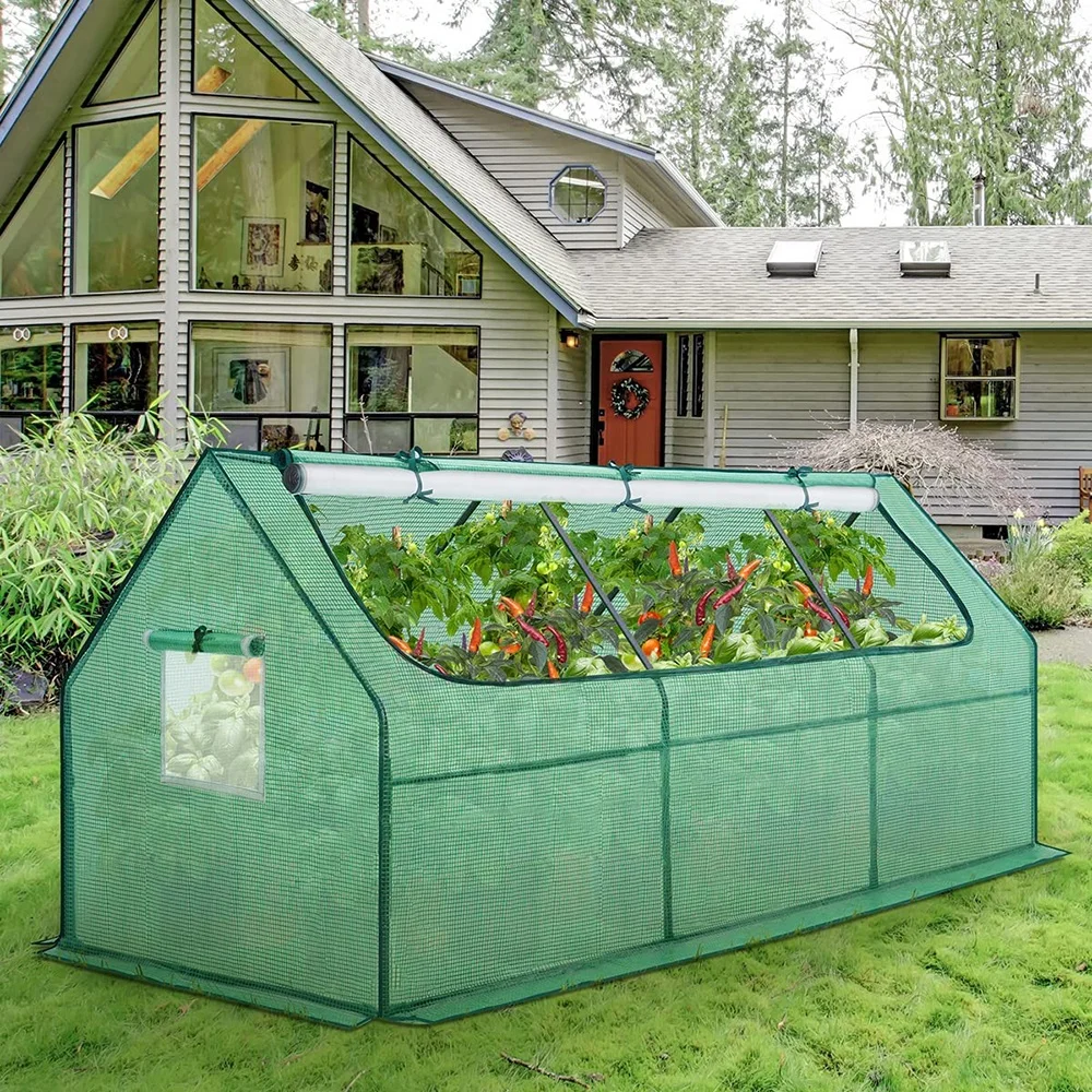 VERTAK PE sheet and steel powder coated frame high greenhouse with 2 windows