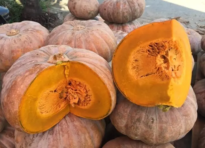 100% Export Oriented Best Quality Fresh Sweet Pumpkin From Vietnam