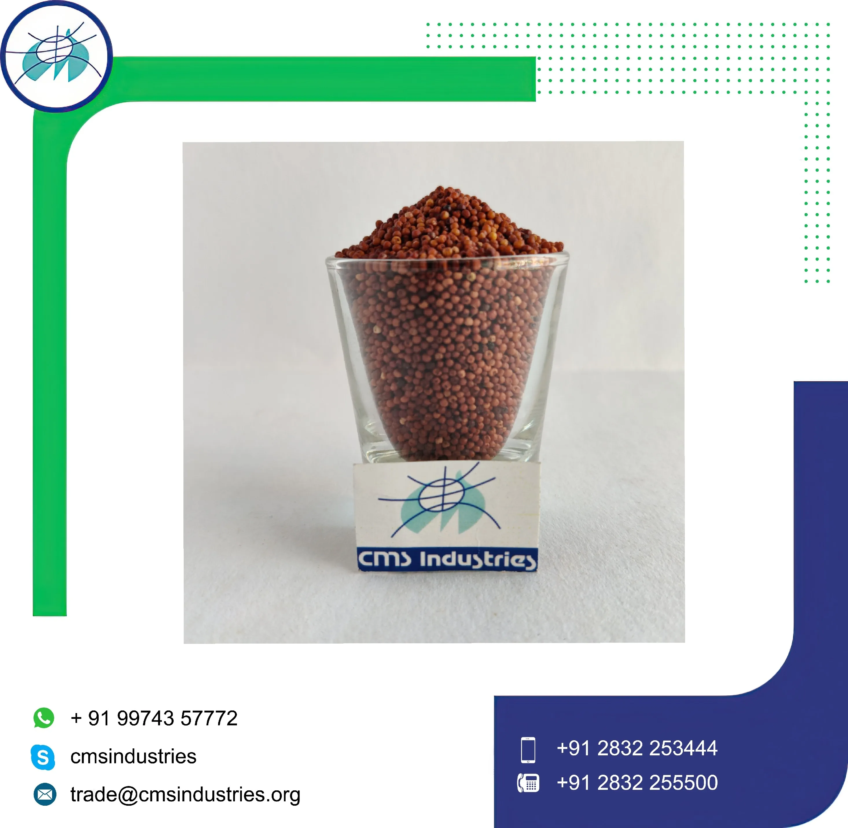 Ragi Seeds at Bulk Price