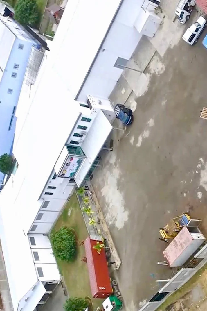 Top Quality Hulled Oats/ Oats Grains