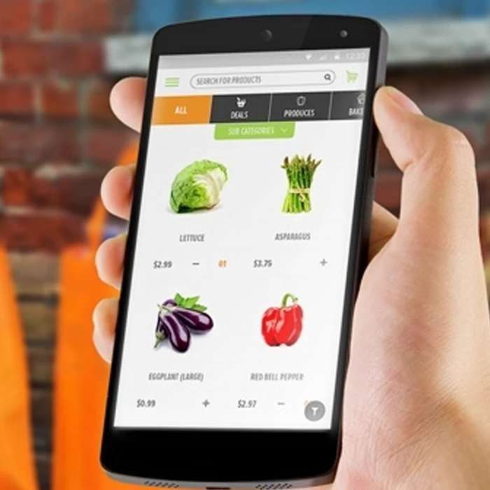 App Developers India | Mobile App Best Online Shopping App solution Company  in India | Protolabz eServices