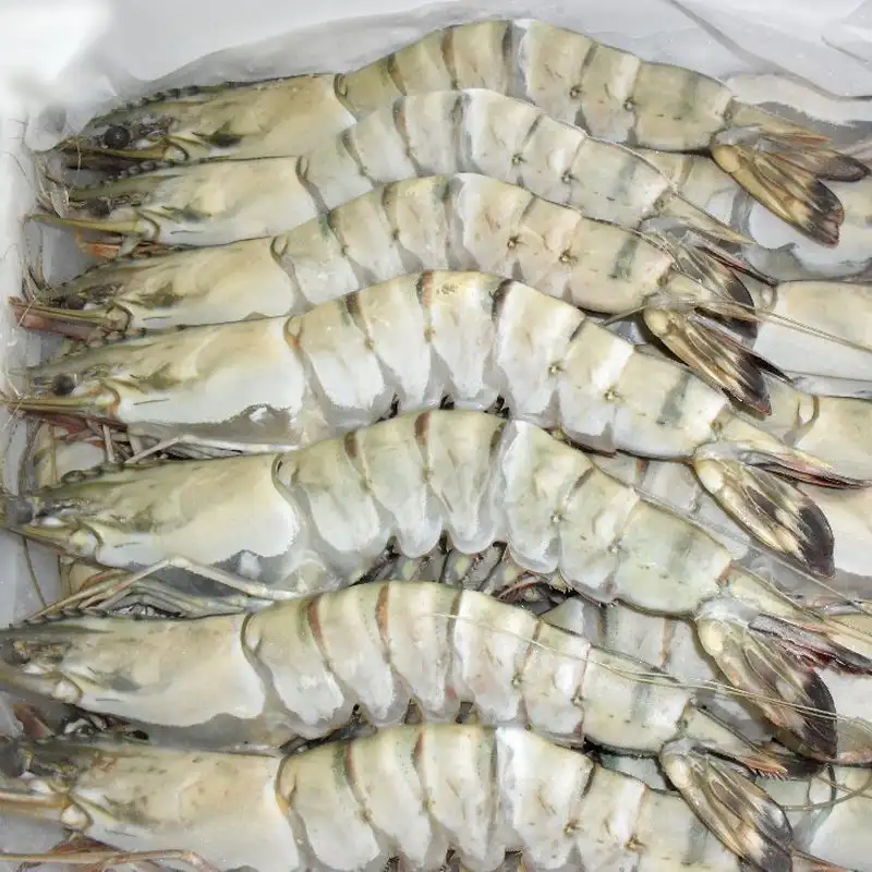 Frozen Shrimp brands with good factory price / SEAFOOD Top Quality Cold Water Shrimp