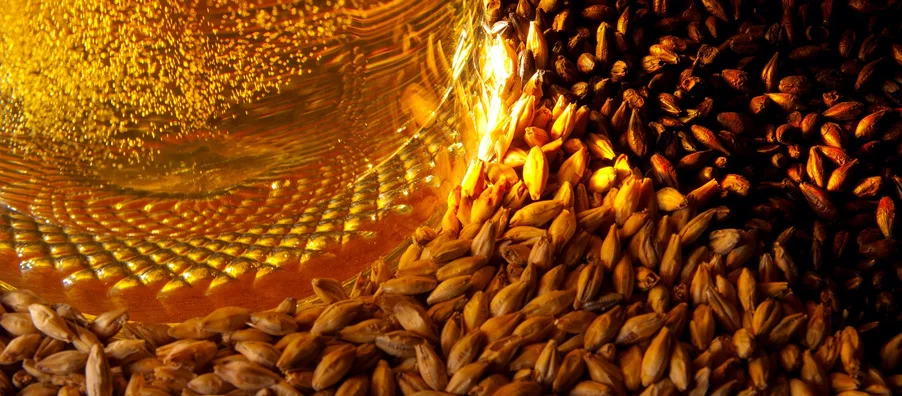  Оптовая продажа стеклянная бутылка для пива Lager Alc 4.5% объемом 450 мл Высококачественное Пиво daivietnam premium низкая цена в наличии экспорта