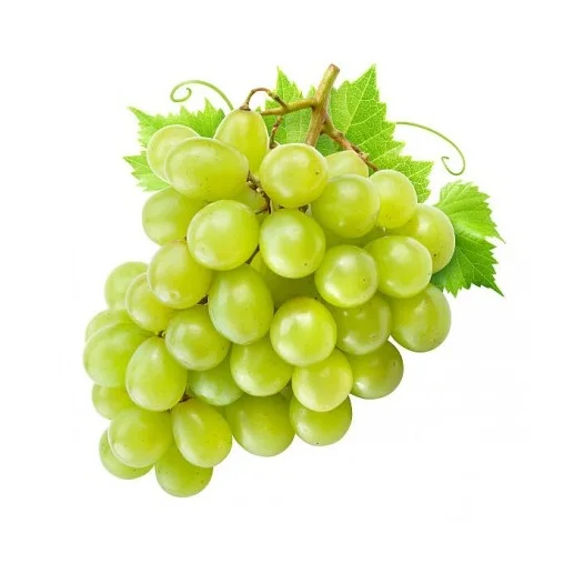 Wholesale Supplier Of Fresh Fruit Grapes Ready To Ship