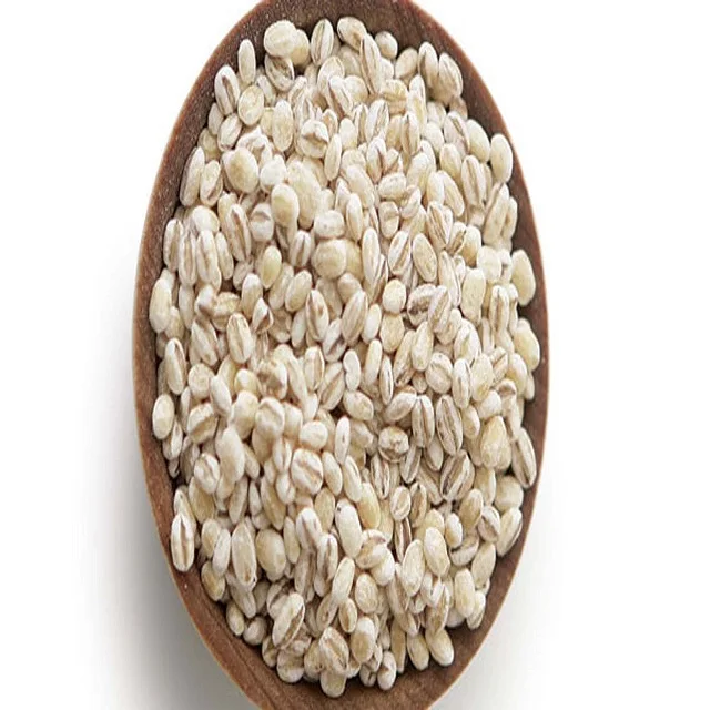 Best Feed Barley grain / Barley Malt grain / Hulled Barley Ready