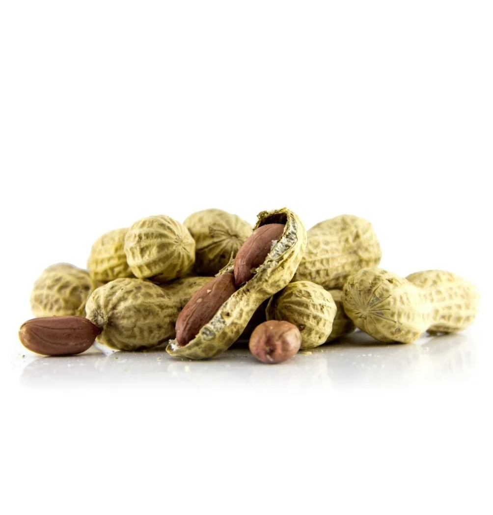 Great quality raw peanut kernels
