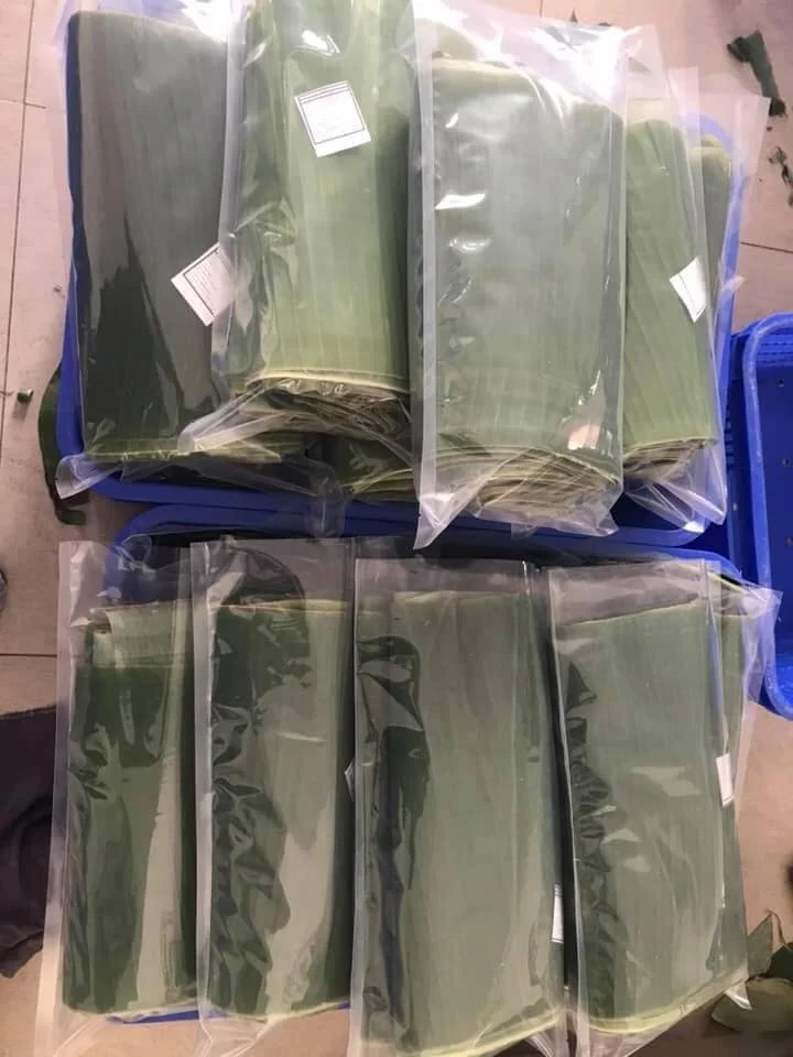 Vietnam Frozen Banana Leaf Fresh Banana Leaves With High Quality +84947900124