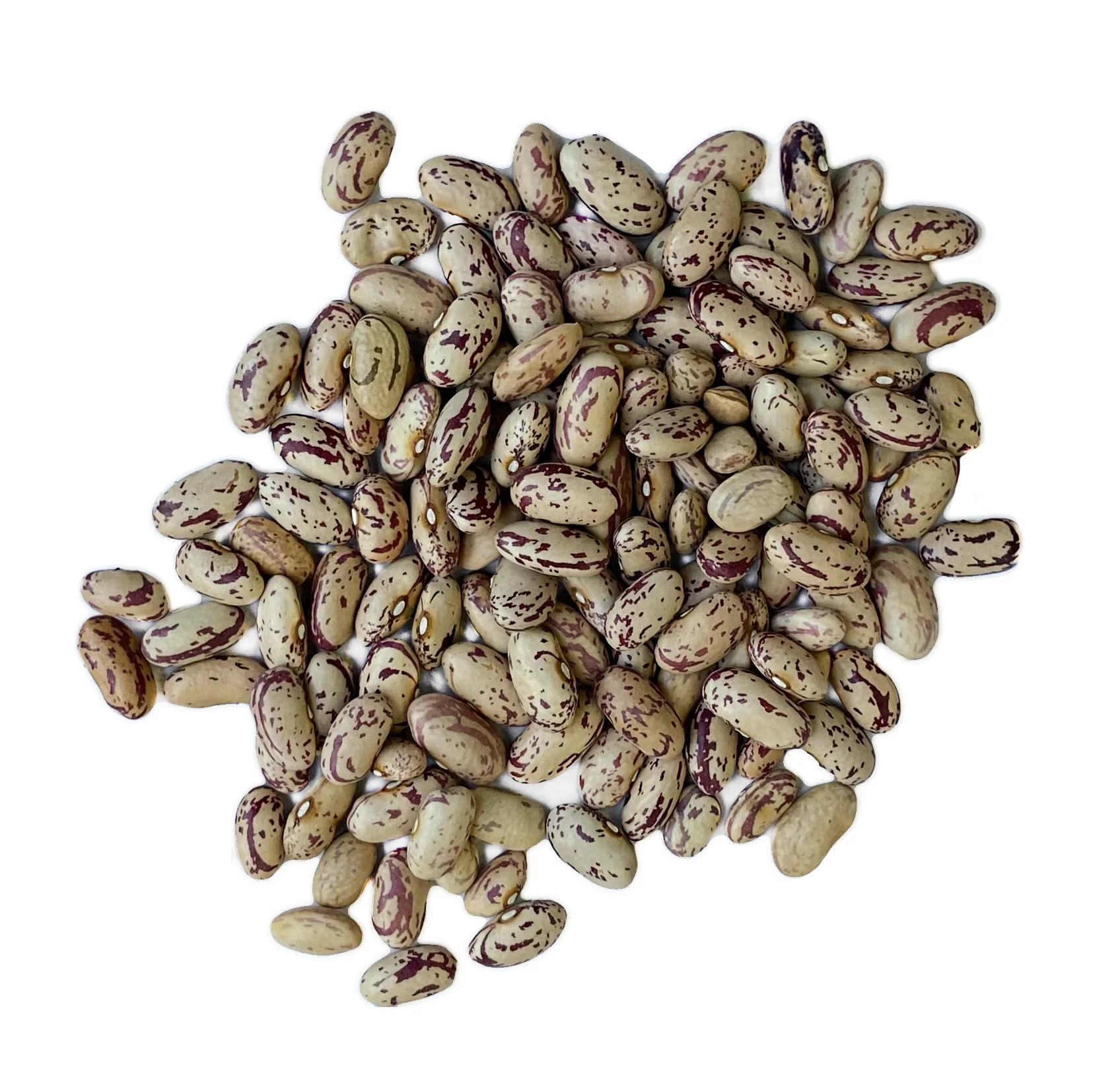 Урожай 2021 октября оптовая продажа премиум класса из Узбекистана пакеты 25 кг натуральная сушеная легкая зернистая фасоль