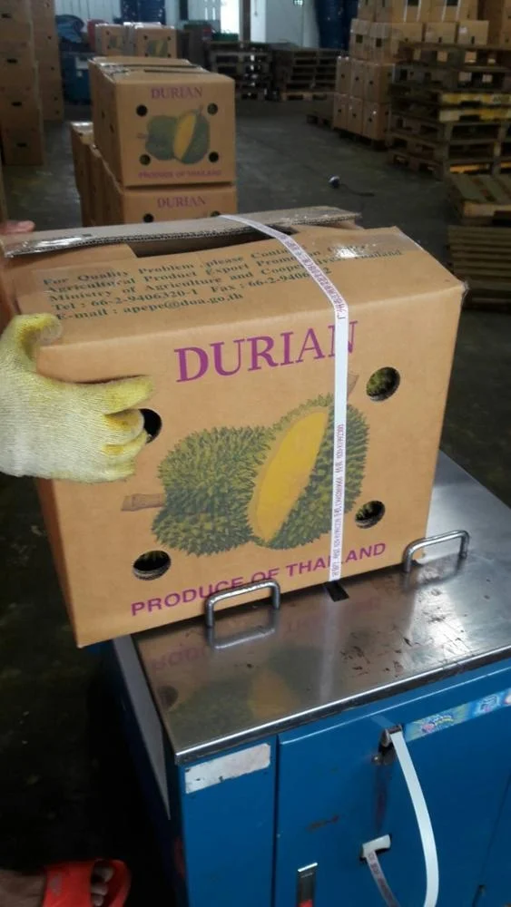 
Fresh Monthong Golden Pillow Durian Thailand 