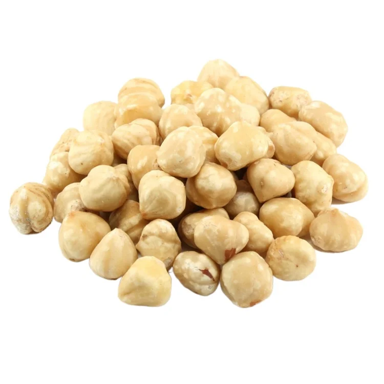 Blanched / Roasted Hazelnuts / Toasted / Hazelnut kernels Inshell / Organic Hazel Nuts
