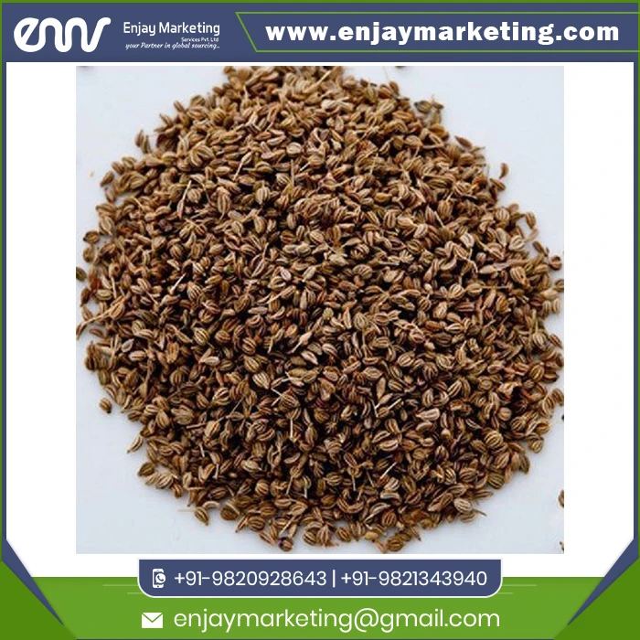 Самые продаваемые семена специй Ajwain карома оптовый экспорт по оптовой цене