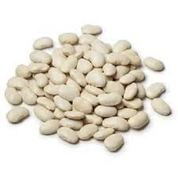 Organic White Lima Beans factory price