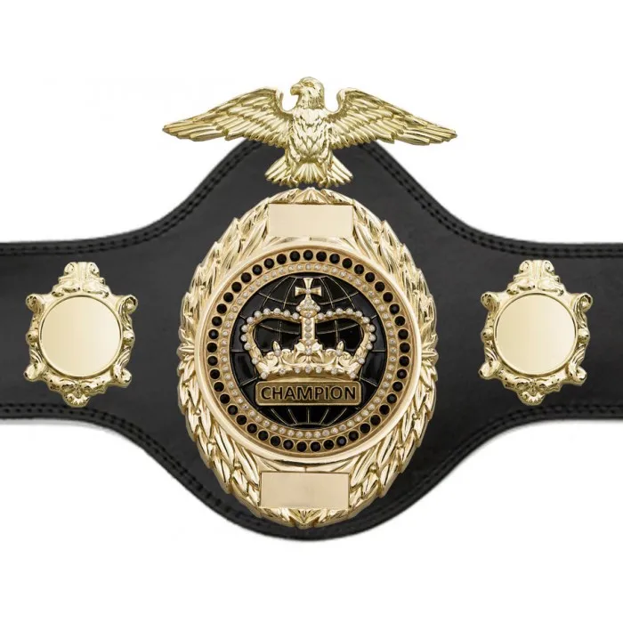 Title Boxing Platinum Championship Belt  Spinner Universe