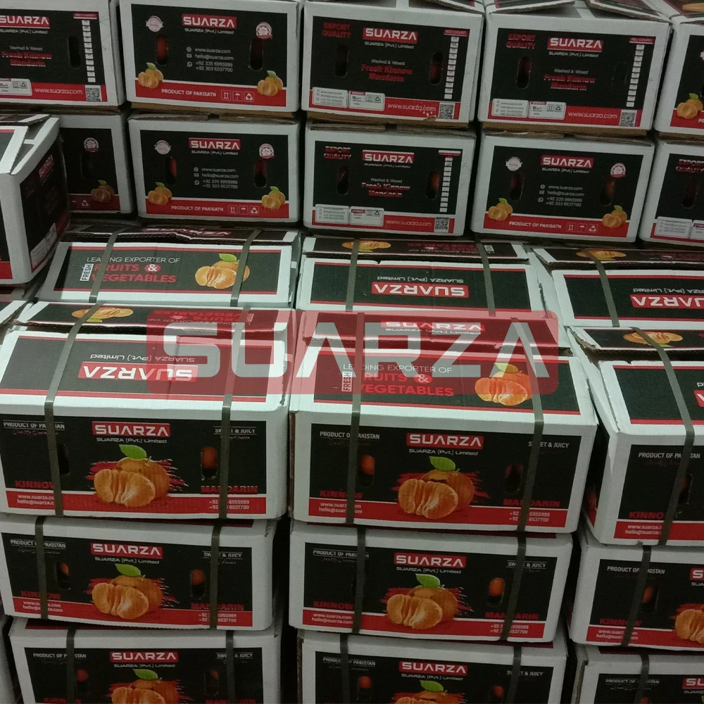 100% Fresh Mandarin Oranges (Kinnow Sargodha) Sweet And Juicy With Best Packaging, Competitive Pricing