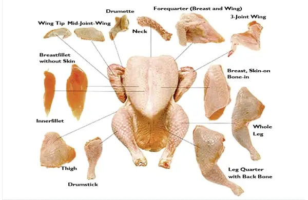 chicken parts.jpg