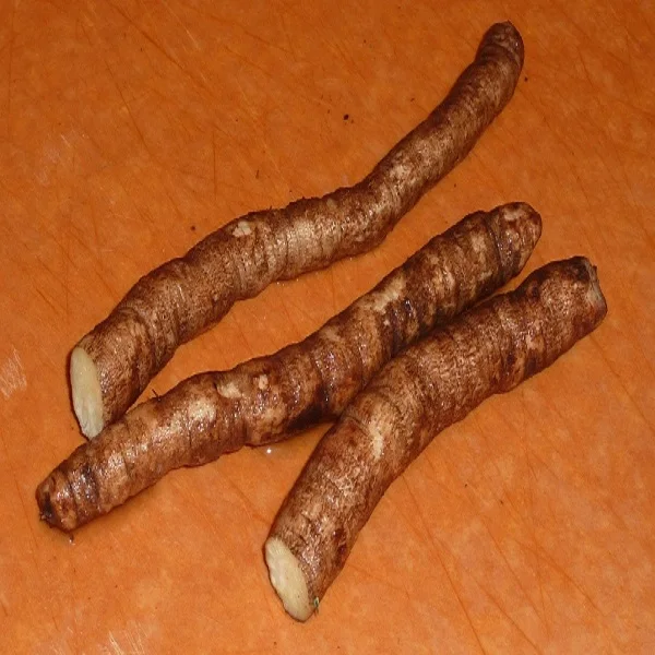 Fresh Burdock For Sale / Extract burdock / High Quality Pure Natural Burdock Root