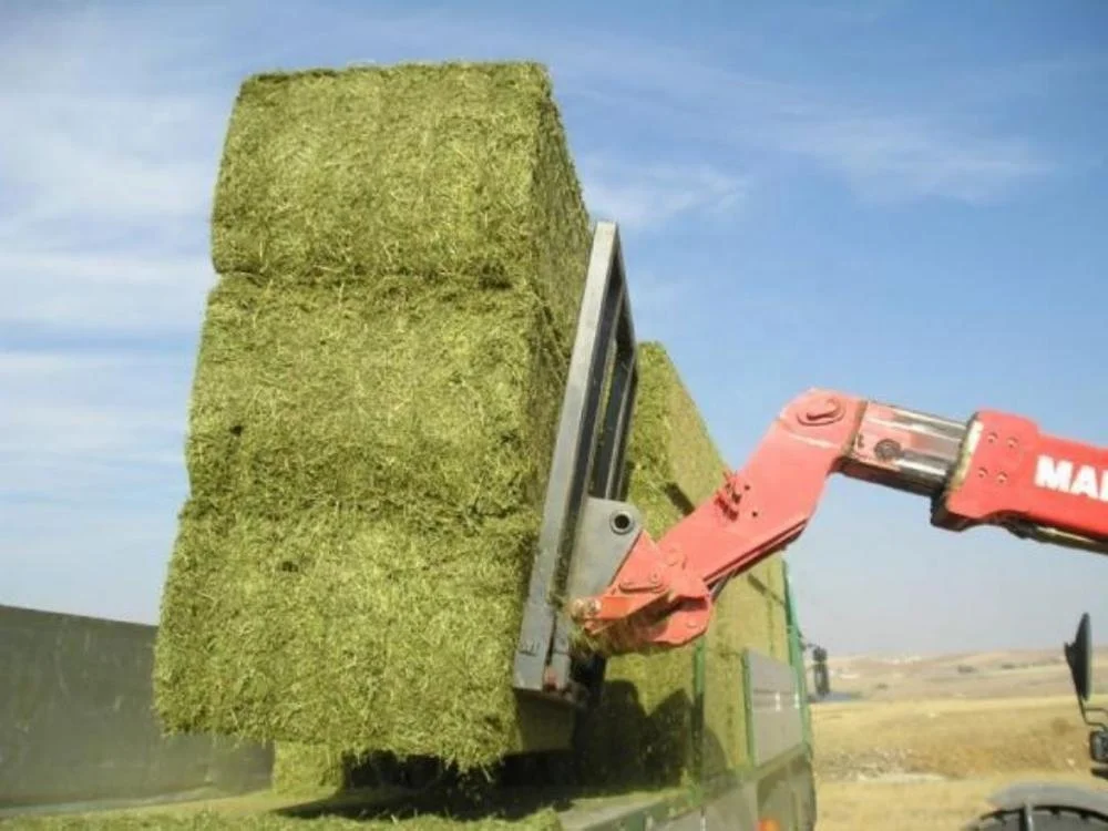 
LOW MOISTURE ALFALFA HAY BALE FOR INTERNATIONAL MARKET 