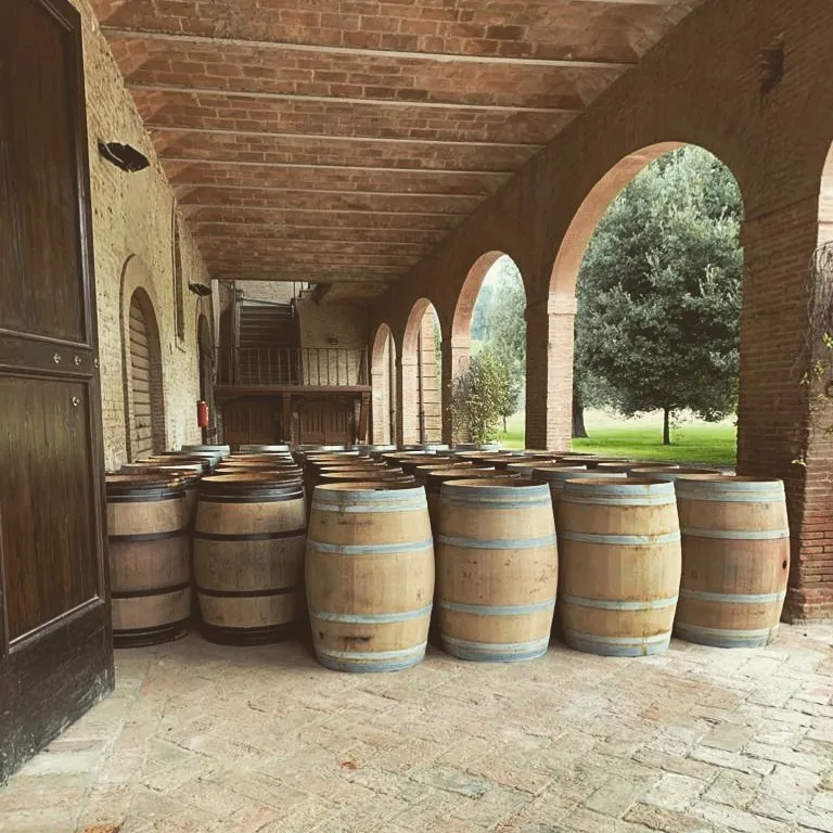 Red wine Supertuscan igt Castello di Barbialla 2017