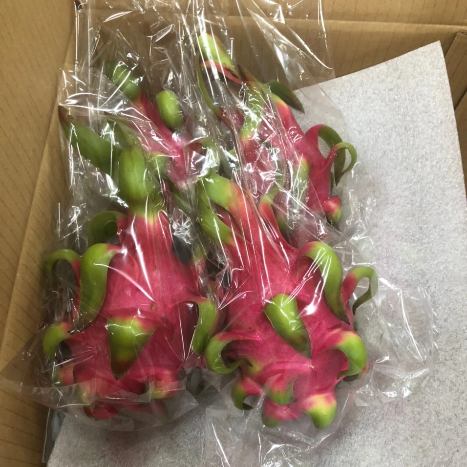 Свежий фрукт дракона для экспорта из Вьетнама