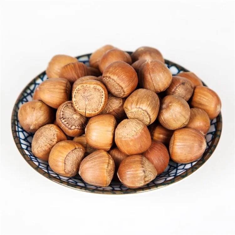 Blanched / Roasted Hazelnuts / Toasted / Hazelnut kernels Inshell / Organic Hazel Nuts