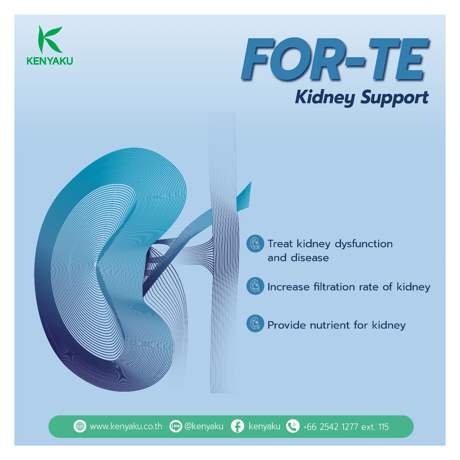 Питательная добавка для лечения заболеваний печени и желудка поддержки почек