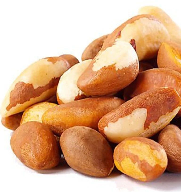 Bulk Export of Finest Quality Brazil Nuts raw..