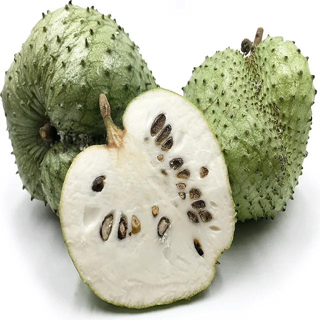 
Whosale Fresh Soursop Fruit Premium from Vietnam/ Sweet and sour taste Fruit. 