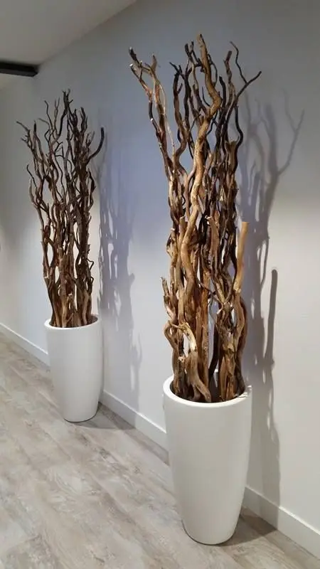 Modern Driftwood table lamp