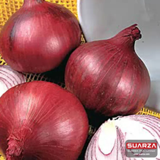 100% fresh red shallot onion/ seasonal red cepola onion are supplied to  all over the world /wholesale onion exporter