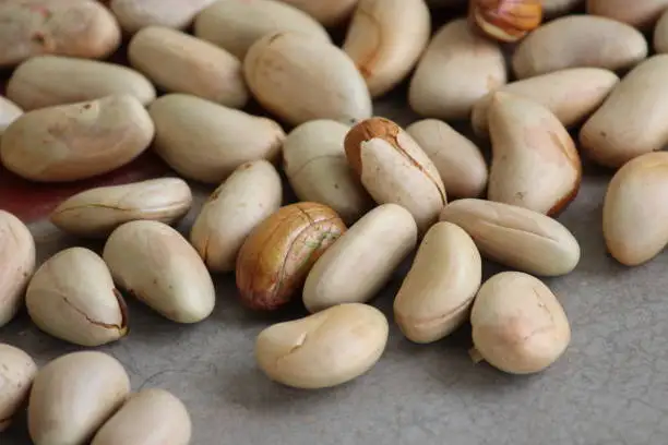 Cheap Price Wholesale Dried Jackfruit Seed For Sale In bulk