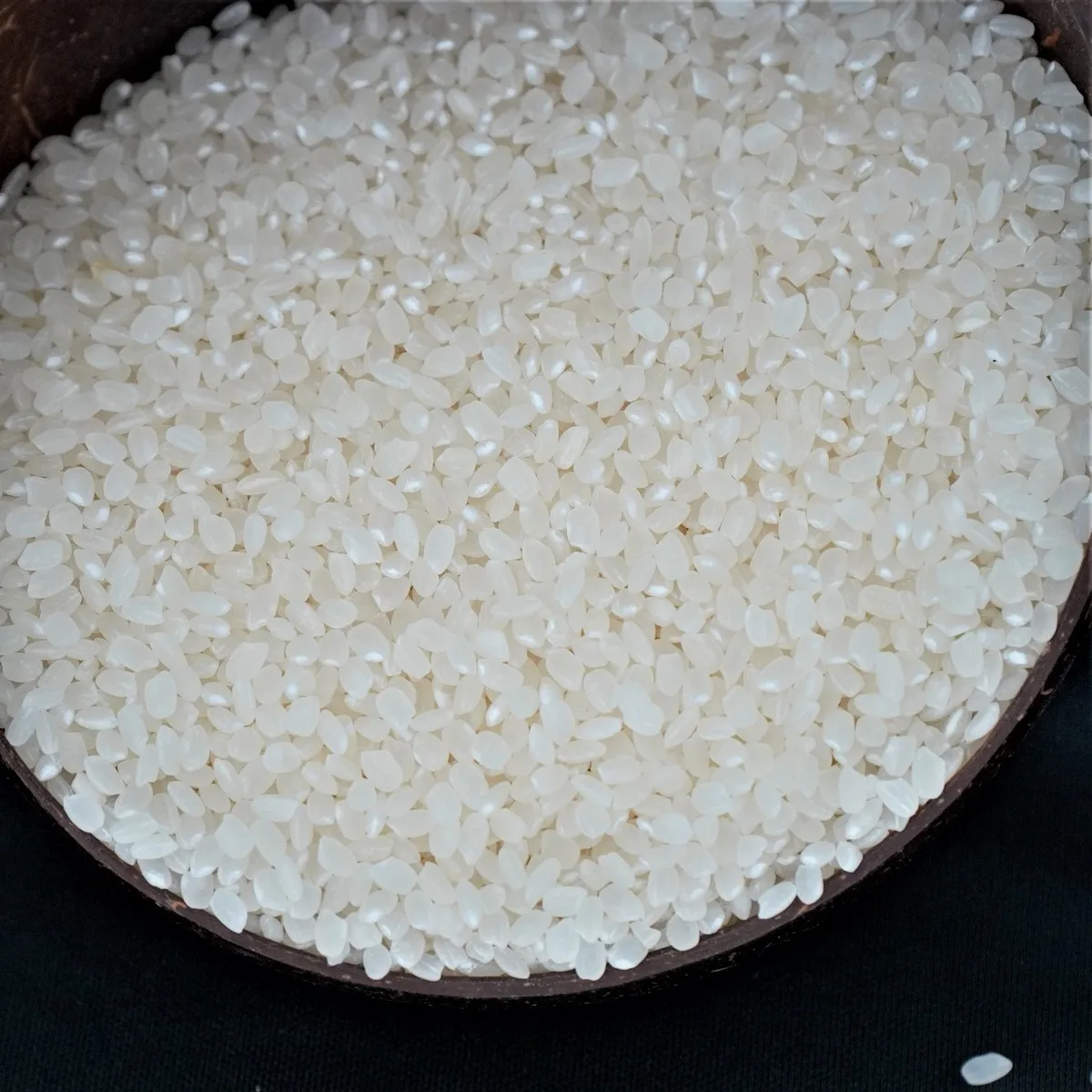 Wholesale Premium Grade Quality Short & Round Rice White Color Japonica Rice DS1from Vietnam Best Supplier