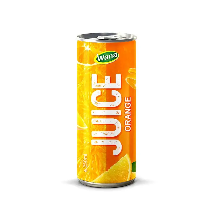 Premium All Fresh Watermelon Juice drink Supplier in 250ml/320ml/500ml Aluminum Can from OEM/ODM beverage manufacture in Vietnam