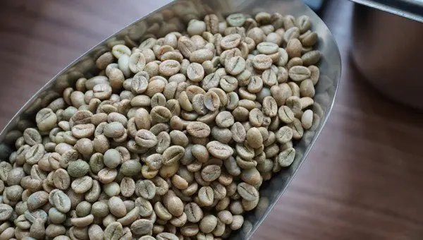 
Langbiang Coffee Bean Robusta Dry Roast 90 Coffee Is A Pronounced Fruity Flavor Can Be Easily Felt In A Cup Of Coffee 