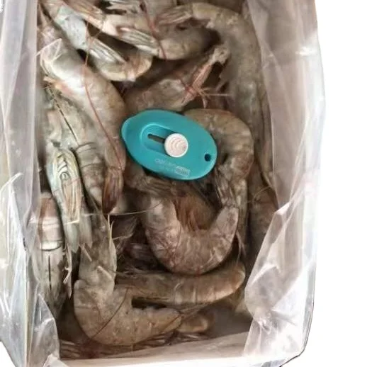 Свежие замороженные головки на Ракушке креветки HOSO переводчики