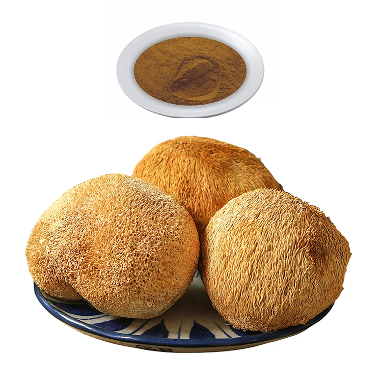 lion mane mushroom extract powder Hericium Erinaceum Extract Fruiting Body 50% polysaccharides by UV lions mane private label