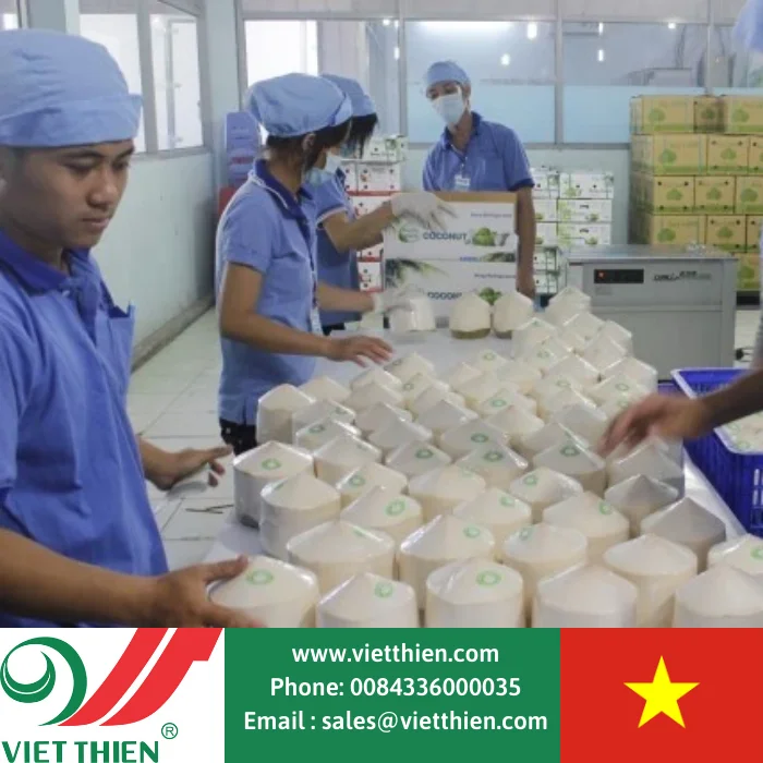 Good price fresh coconut grown by organic method, wholesale supply in large quantities around the world, origin Vietnam