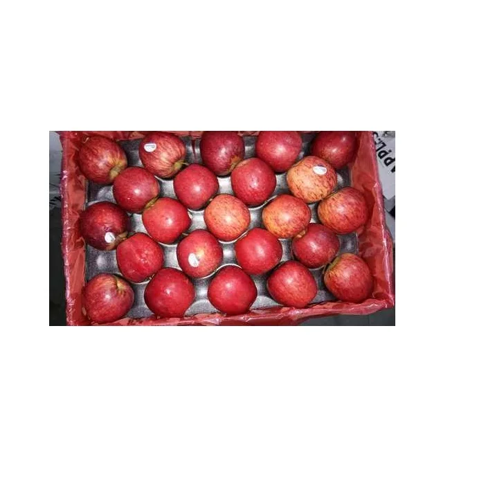 
Fresh Royal Gala Apples from South Africa 