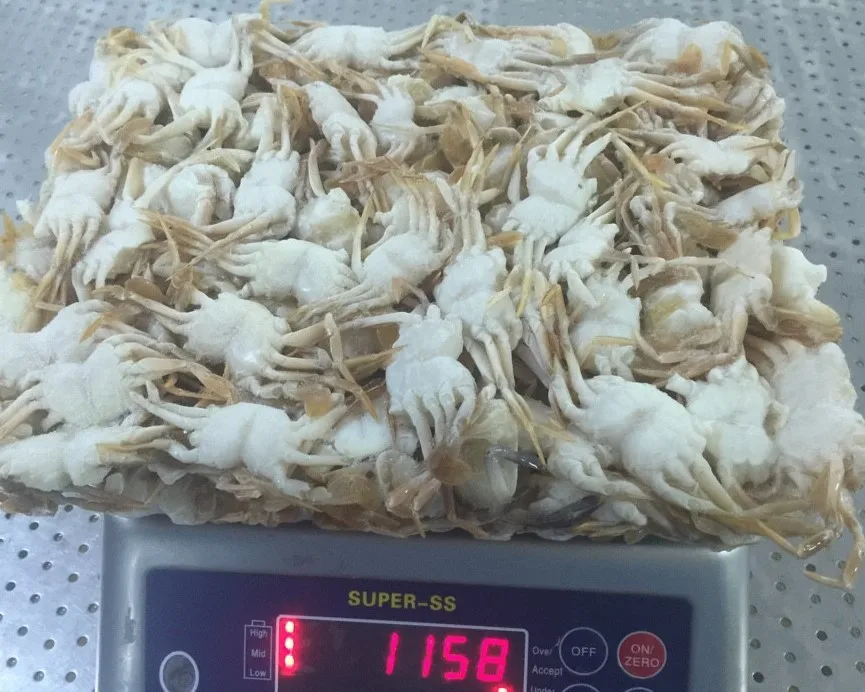 
HIGH QUALITY - FROZEN BABY CRAB 