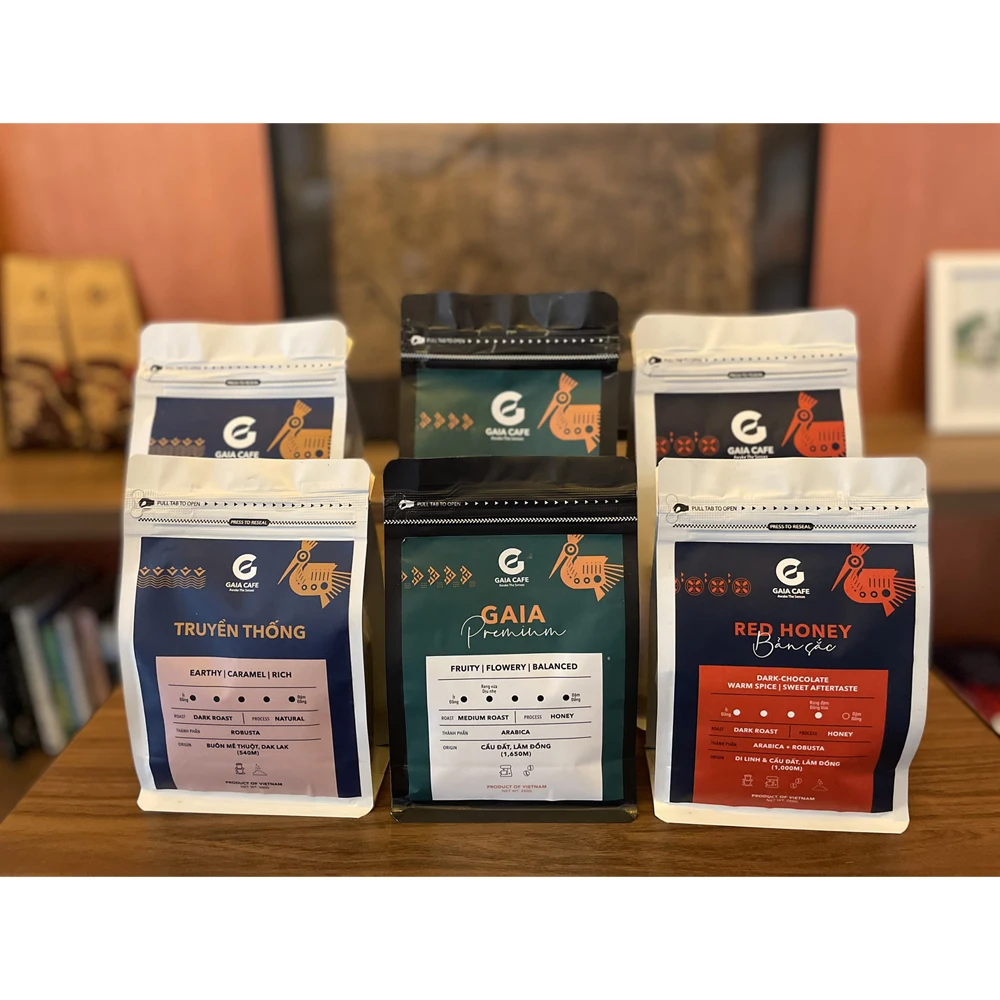 Robusta green blended coffee beans factory good price