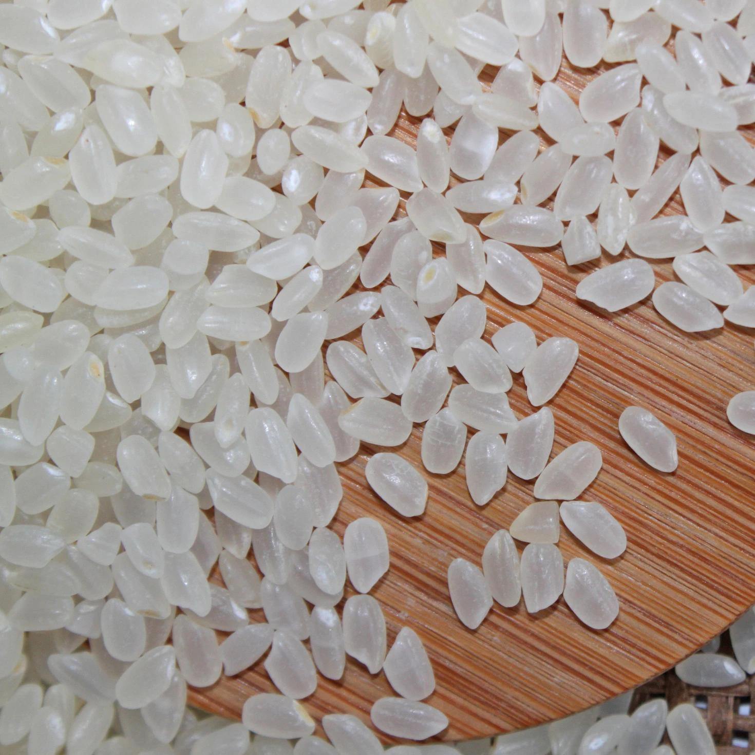 
High Quality Soft Shiny Japonica Short Round Seeds White Rice From Organic Rice Fields in Vietnam 