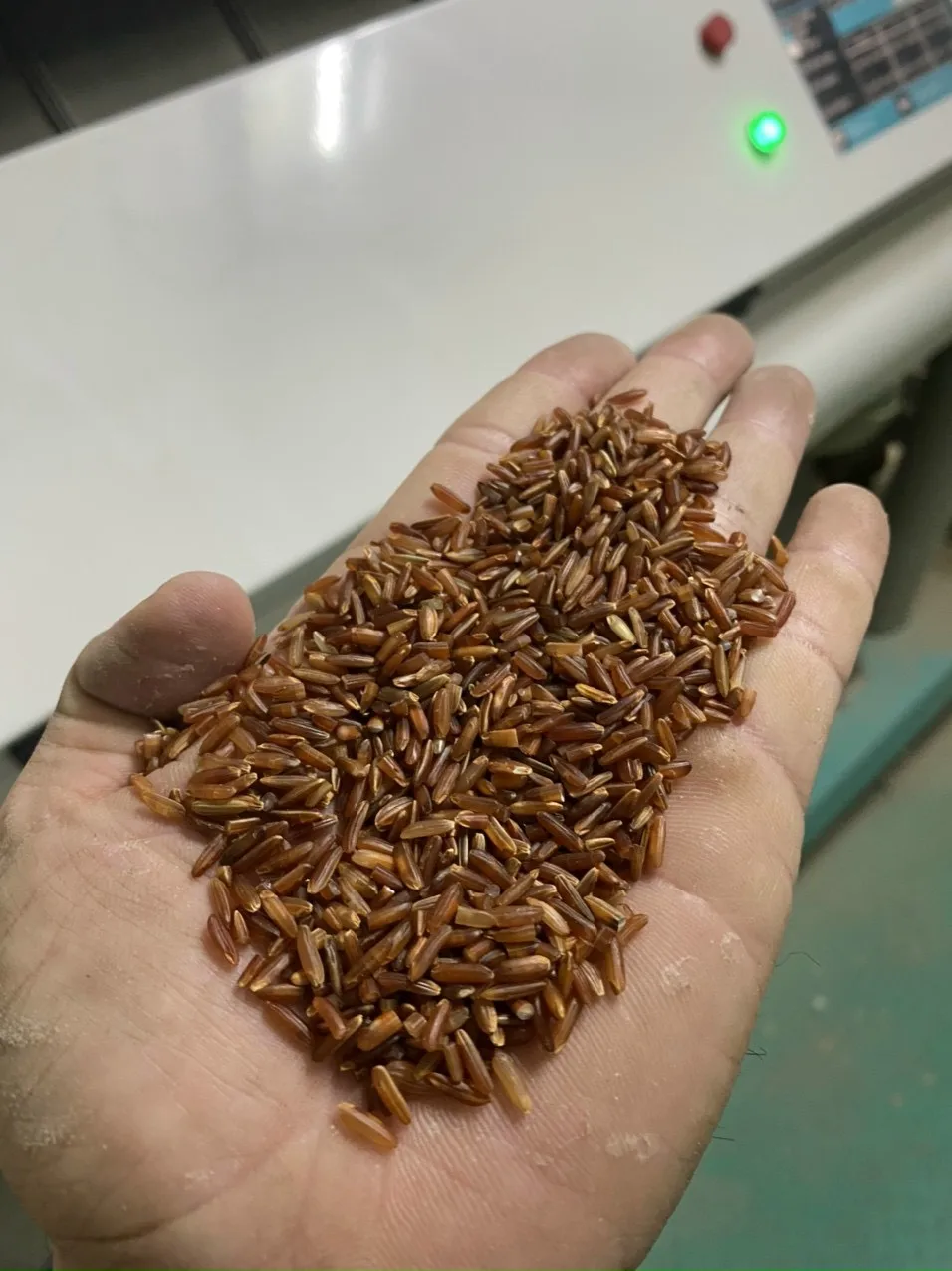 Natural Organic Red Rice Made In Viet Nam