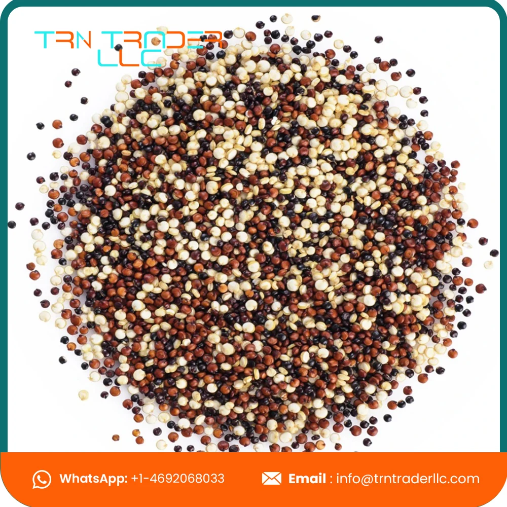 Оптовая поставка органического белого хиноа из США от ведущих поставщиков