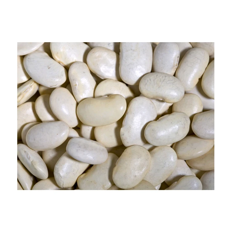
Premium Quality Hot Selling Lima Beans for Bulk Purchase at Low Price 