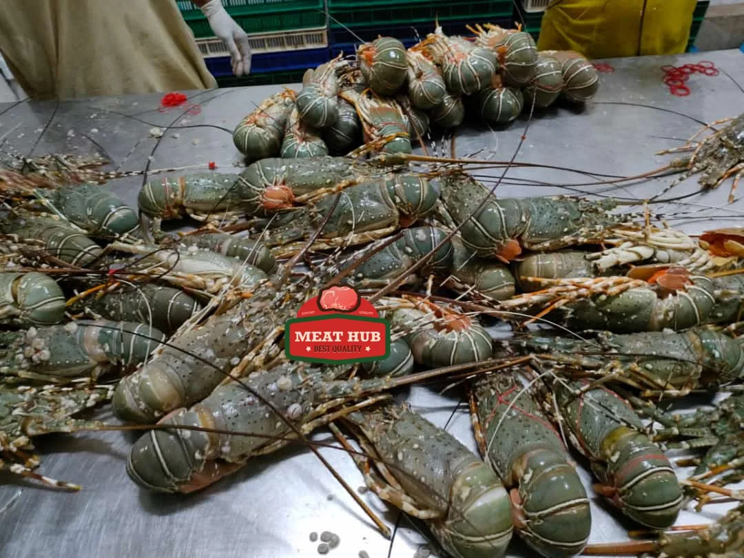 Замороженный тигровый