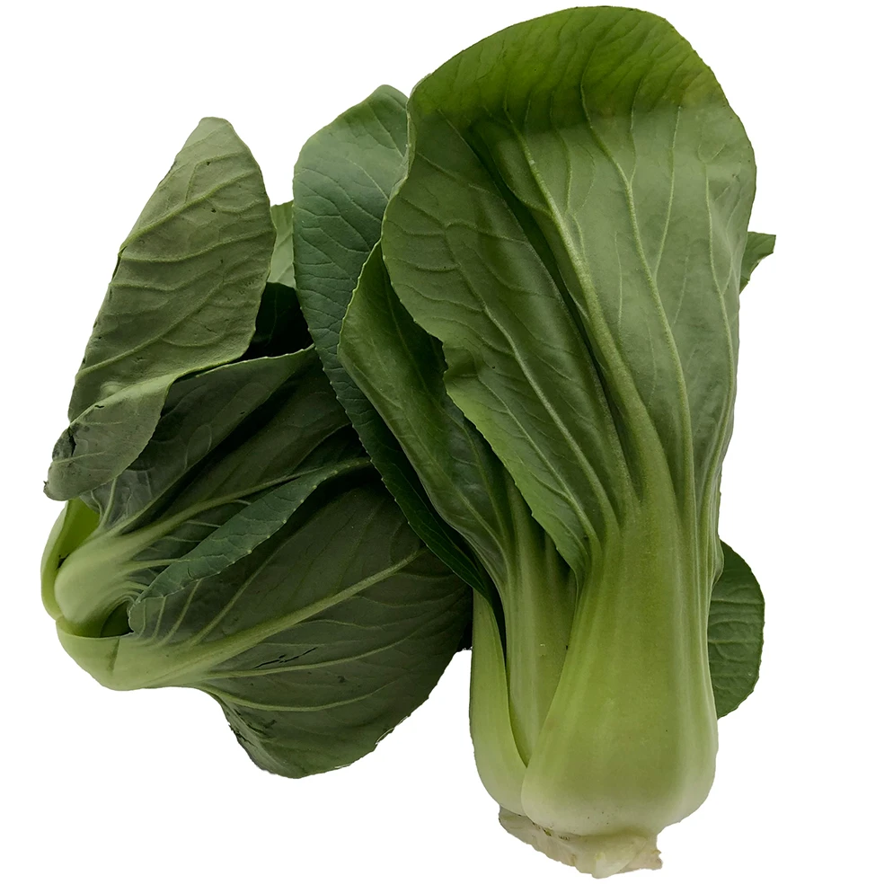 Imported Quality Super Fresh Cheap Price Box Packing Top Grade Selecting Other Fresh Vegetables Pak Choi Ready to Eat