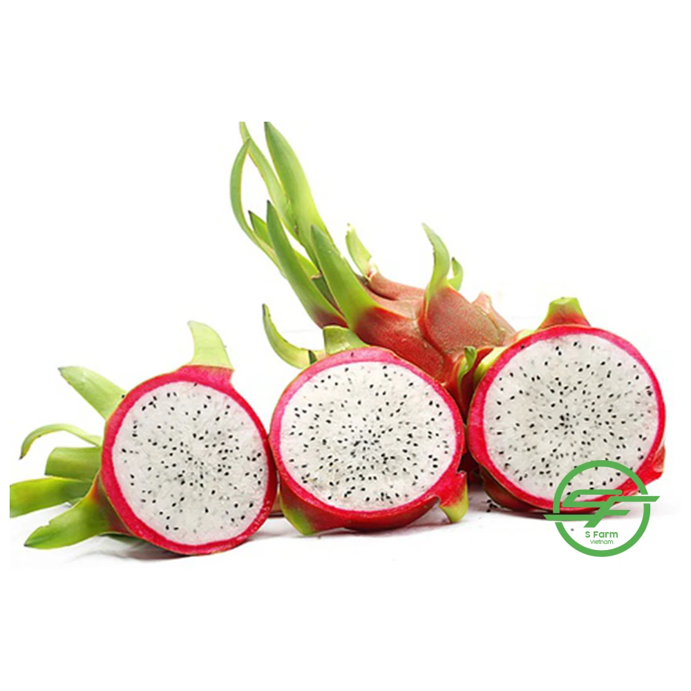 Fresh fruit from Vietnam High quality Red flesh Dragon fruit 100% Organic fruit
