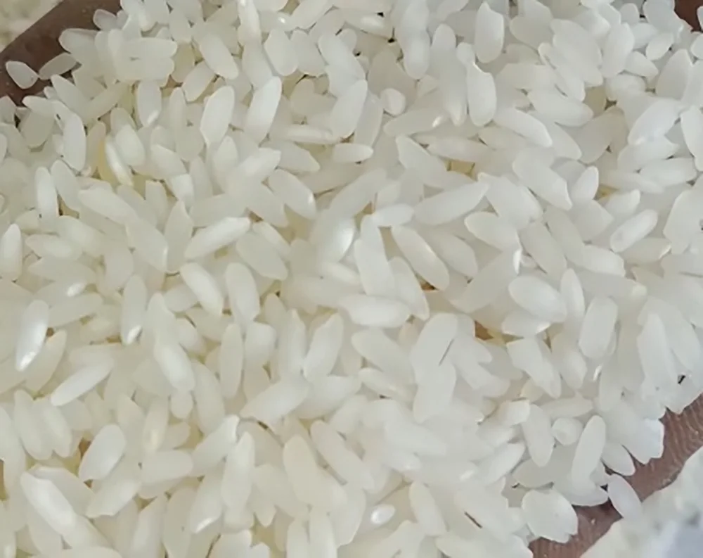 
Premium Quality Indian Swarna Raw Rice 