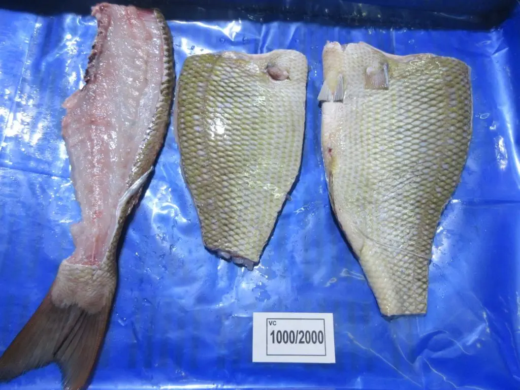 FROZEN EMPEROR FISH IQF