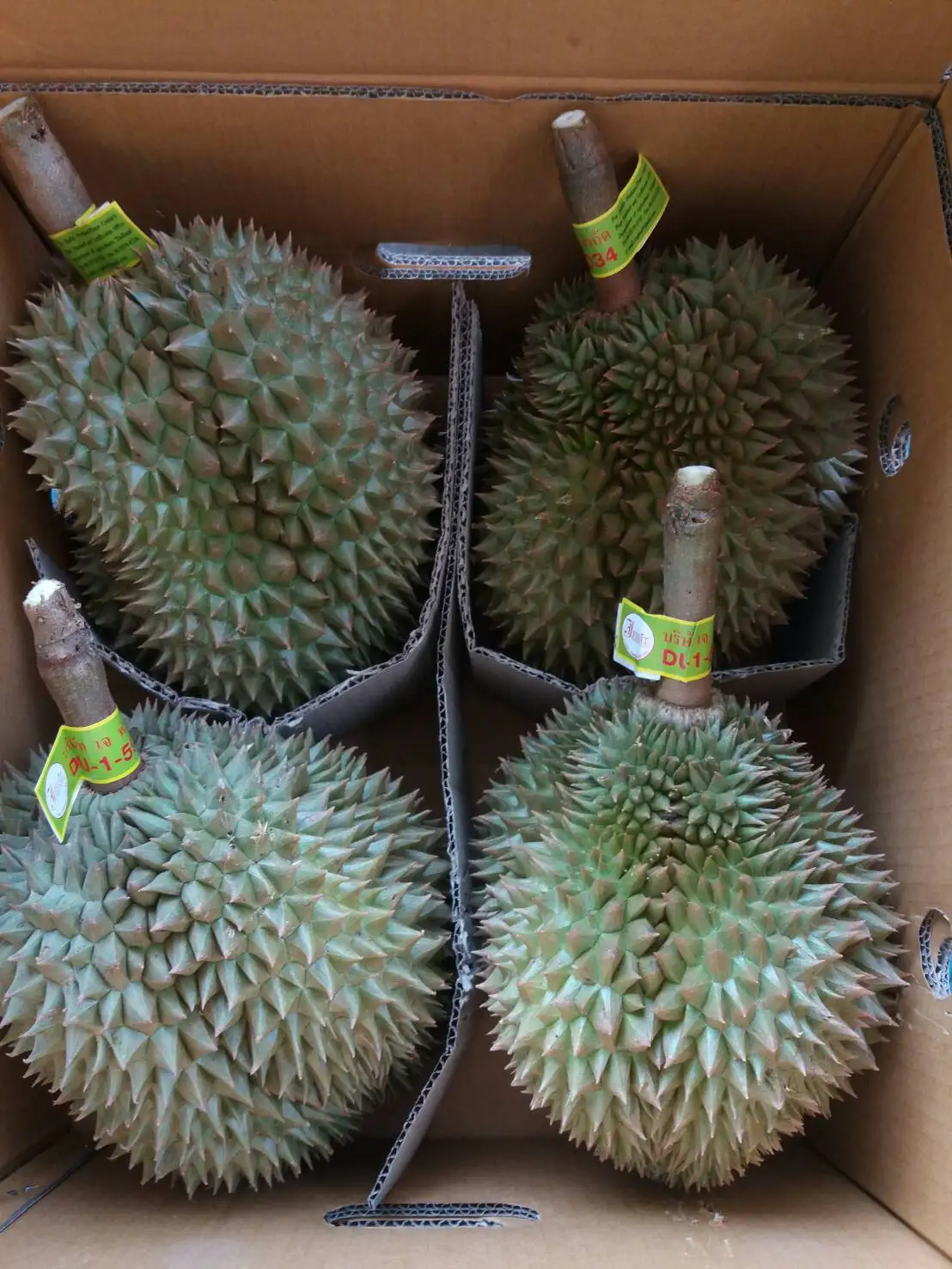 Fresh Durians Monthong From Thailand
