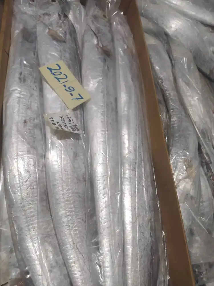 Ribbon fish / Frozen Ribbon fish / Fresh Ribbon fish